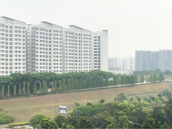 Blk 213a Punggol Walk (Punggol), HDB 4 Rooms #209639461